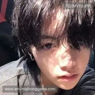 司达蕾